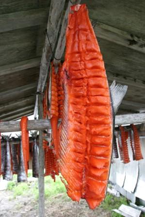 Salmon drying