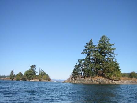 Orcas from a kayak's perspective