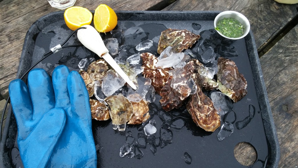 The shuck-em-yourself set-up at Hog Island Oysters in Marshall, California.
