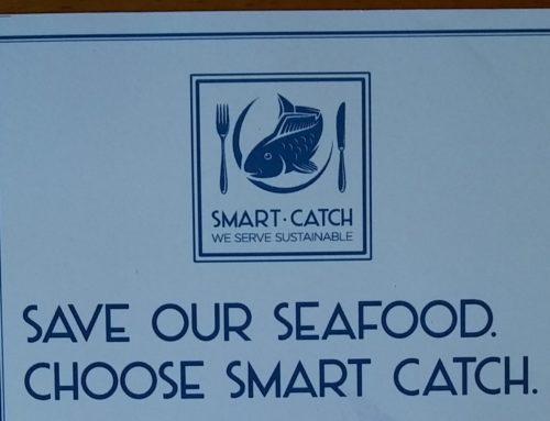 Smart Catch: A New Seafood Steward